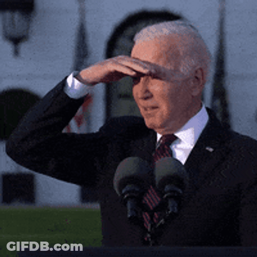 USA President Joe Biden Searching In The Crowd GIF