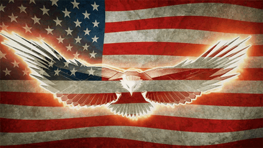Usa United States Of America GIF