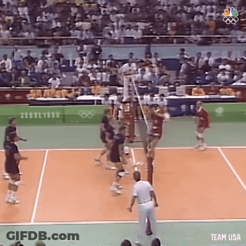 Usa Volleyball Running Hands Up GIF