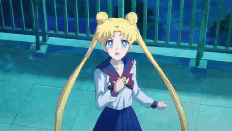 Usagi Seiya GIF