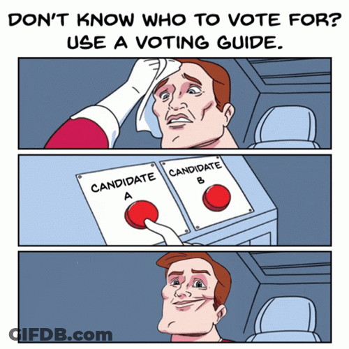 Use Of Vote Guide GIF