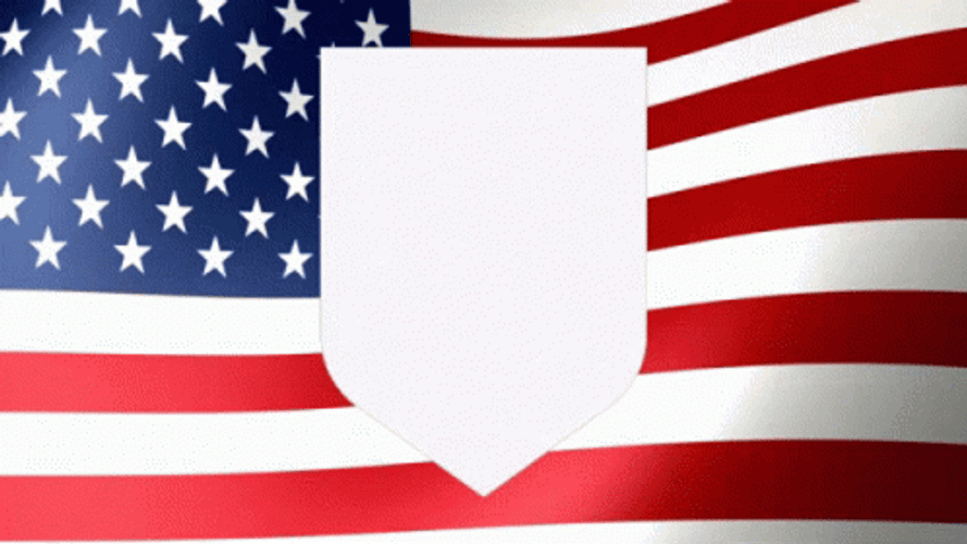 Usmnt Logo And The American Flag GIF