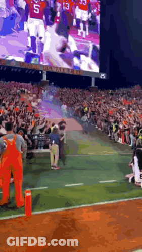 Utah State Aggies Mascot Standing In Front Of Wall GIF