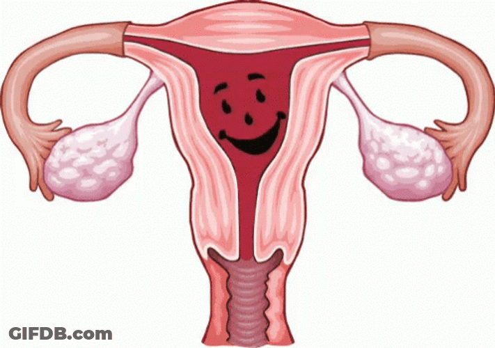 Uterus Filled With Blood GIF