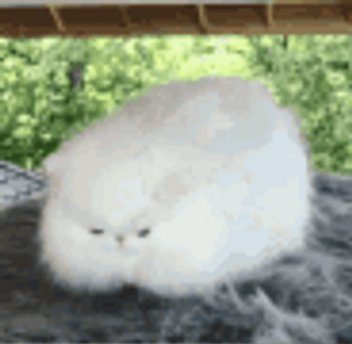 Uwu Thank You Cat Laying Down GIF