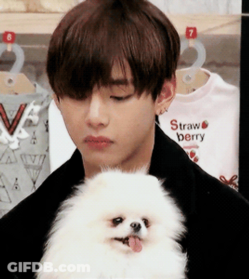 V Is Teasing His Dog GIF