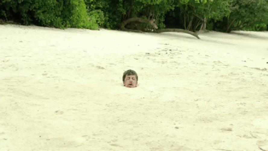Vaas Montenegro Beach GIF