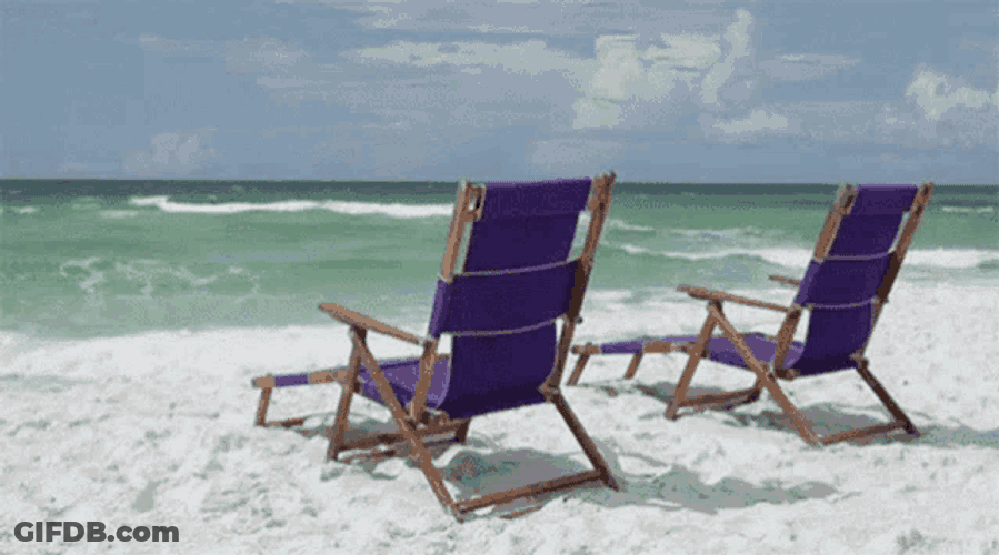 Vacation Charleston GIF