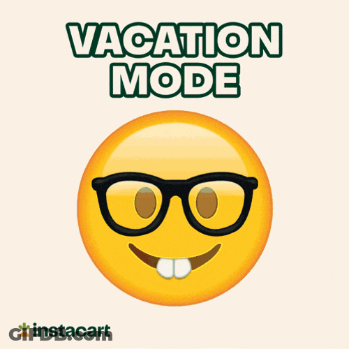 Vacation Mode Vacay Mode GIF