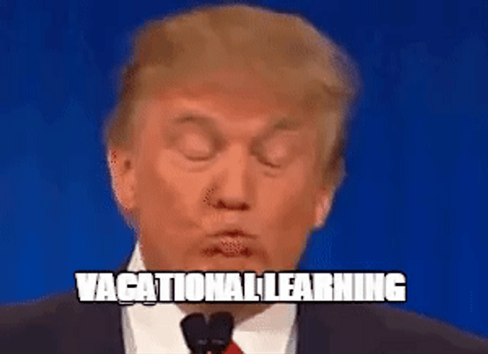 Vacational Learning Head Nod Trump GIF