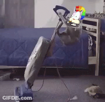 Vacuum Cleaner Cleaning Room GIF