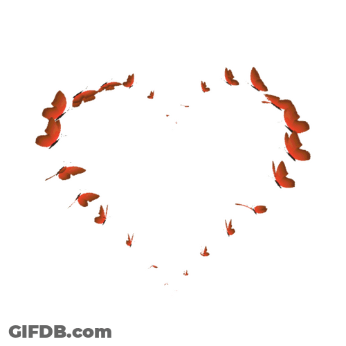 Valentine Day Red Butterflies Forming Heart GIF