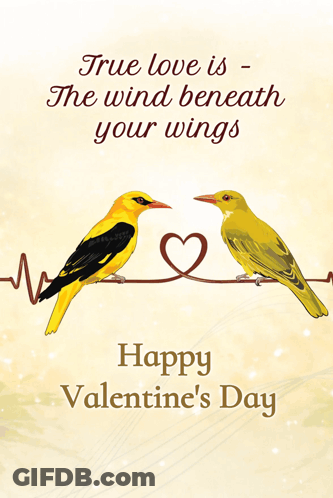 Valentine's Day Card With Two Birds GIF