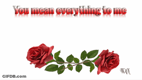 Valentine's Day Card With You Mean Everything To Me Hearts And Roses GIF