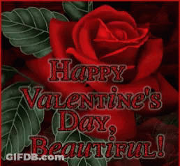 Valentine's Day Greeting Card With Red Rose GIF