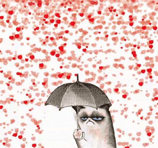 Valentine's Heart Rain Grumpy Cat GIF