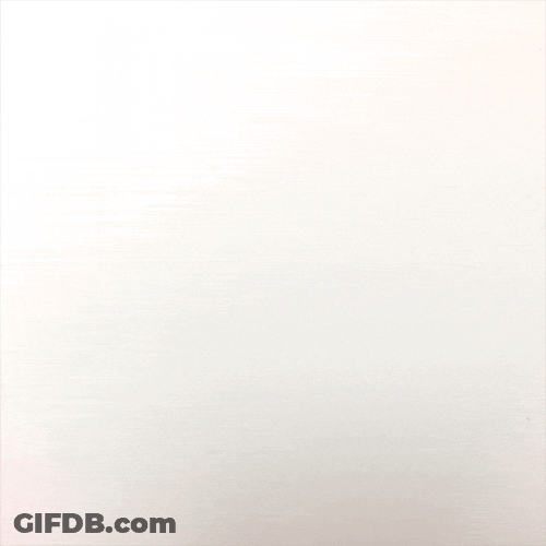 Valentines Day Love Struck Fish Couple GIF