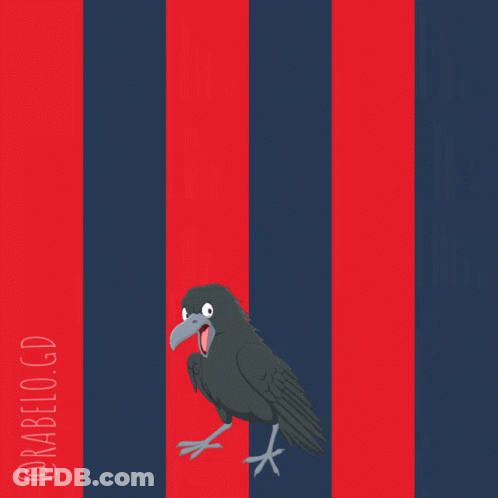 Vamos Ciclon Cartoon Bird GIF