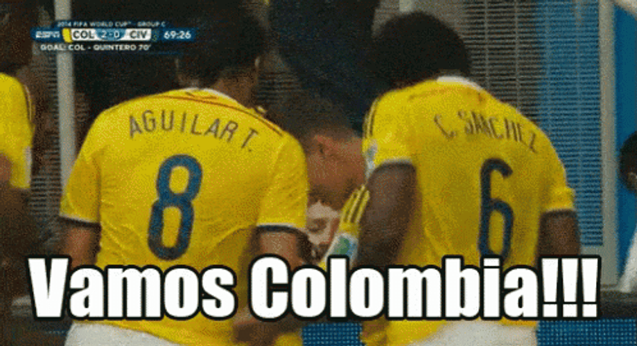 Vamos Colombia Football Team GIF