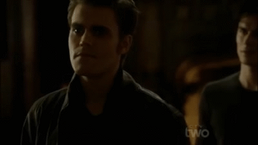 Vampire Diaries Angry Stefan Punch Damon GIF