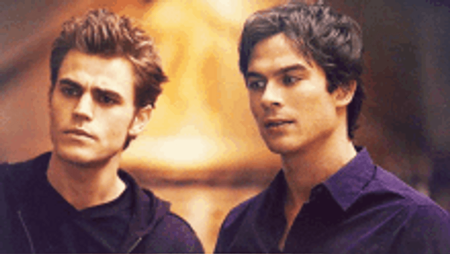 Vampire Diaries Stefan Damon Different Face Reaction GIF