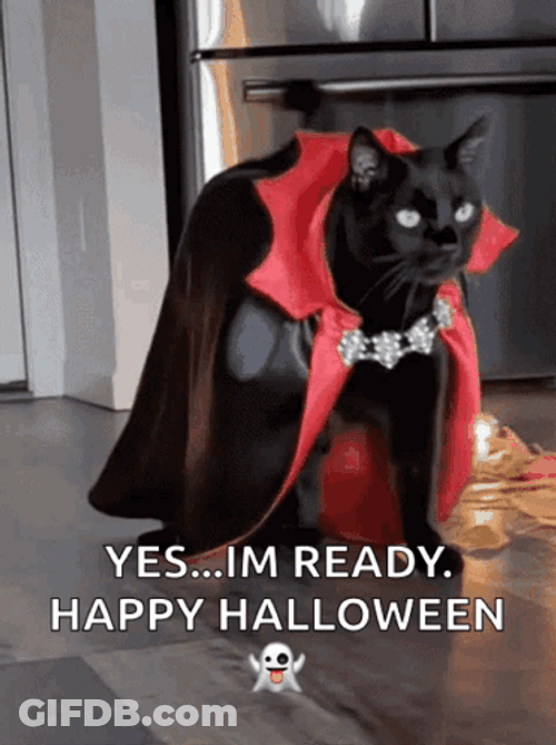 Vampire Halloween Costume El Gato Meme GIF