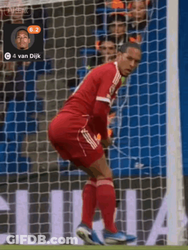 Van Dijk Soccer Player At Goal Net GIF