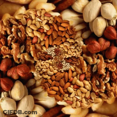 Variety Of Nuts Peanuts And Almonds GIF