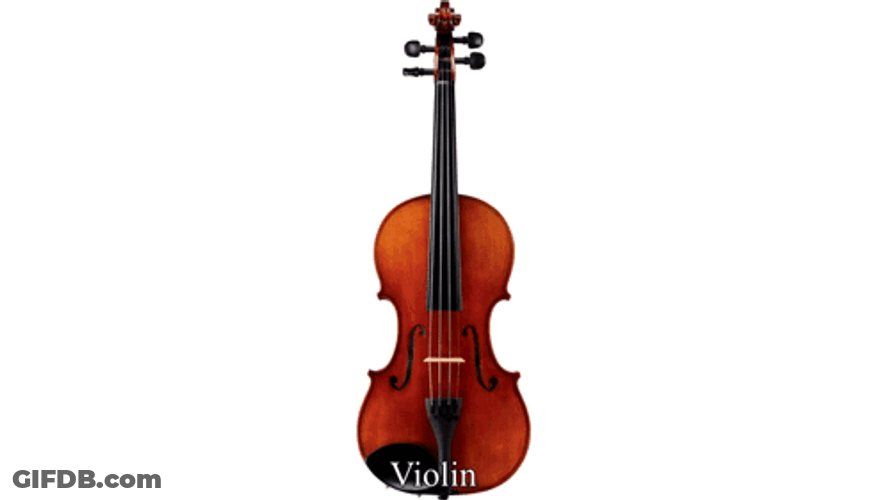 Various Violin Clip GIF