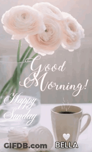 Vase Of Flowers And Coffee Cup GIF