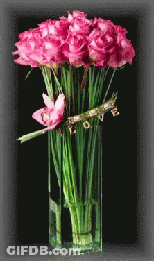 Vase Of Pink Roses Saying Love GIF