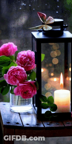 Vase Of Pink Roses With Lantern And Lit Candle GIF