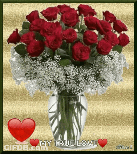 Vase Of Red Roses And Baby's Breath Saying My True Love GIF