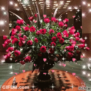 Vase Of Red Roses On Wooden Table GIF