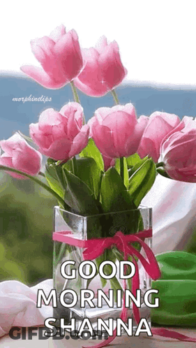 Vase With Pink Flowers Good Morning Shanna GIF
