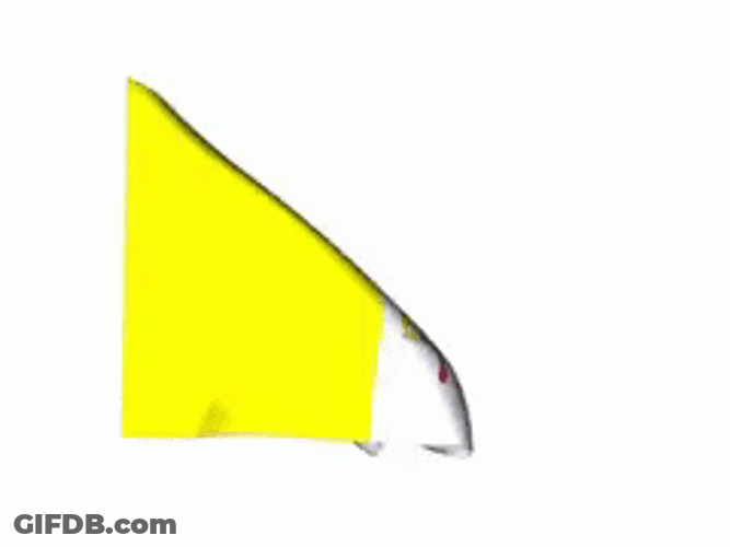 Vatican City Flag GIF