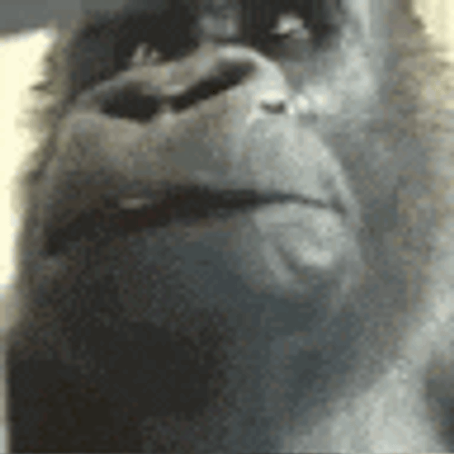 Vatobiox GIF
