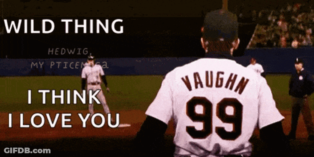 Vaughn Borderlands GIF