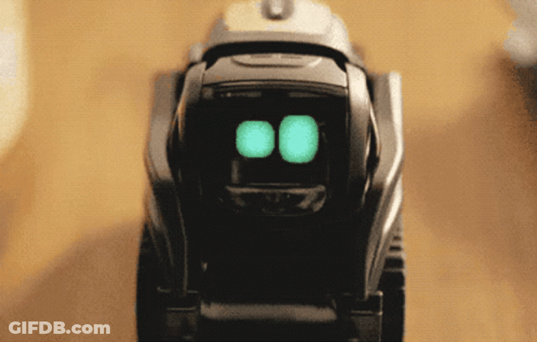 Vector GIF