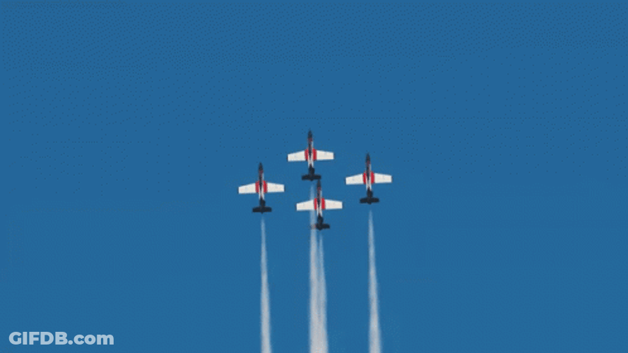 Vector GIF