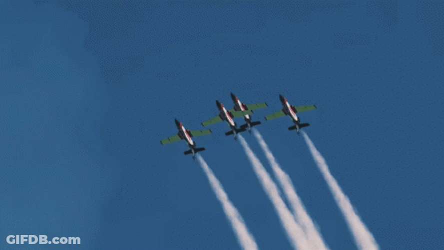 Vector GIF