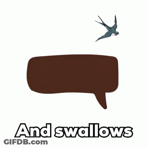 Vegan And Swallow Birds GIF