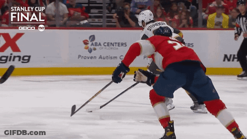 Vegas Golden Knights Chandler Stephenson GIF