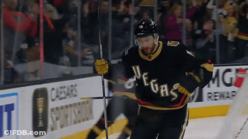 Vegas Golden Knights Nicolas Roy GIF
