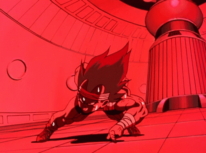 Vegeta Exercising Dragon Ball GIF