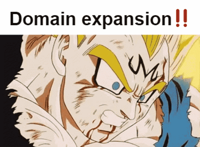 Vegeta Powerful Scream Domain Expansion GIF