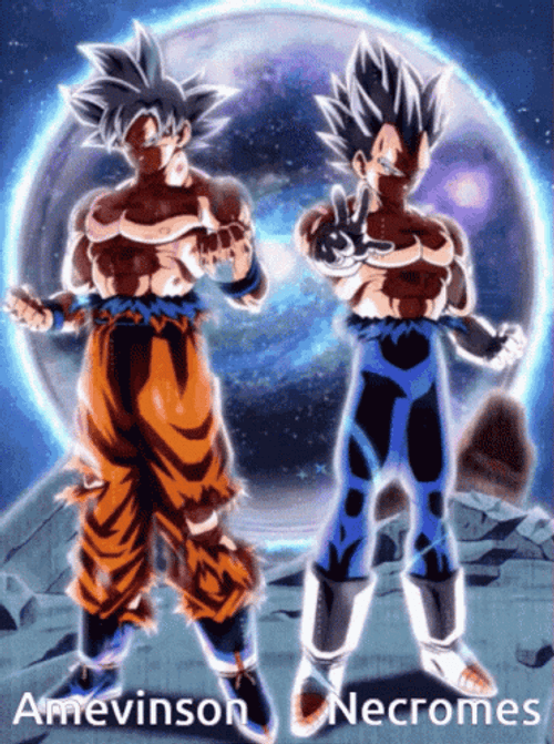 Vegeta Ultra Ego And Ultra Instinct Goku Standing GIF