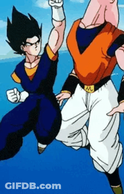 Vegito Majin Buu Punch Kick GIF