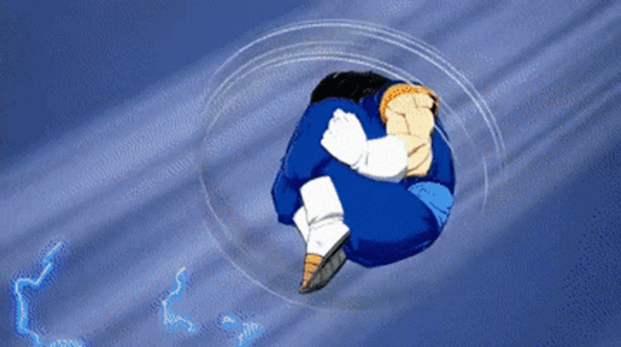 Vegito Roll GIF