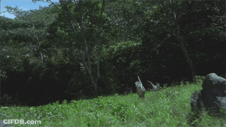 Velociraptor Amazing Speed In Running GIF